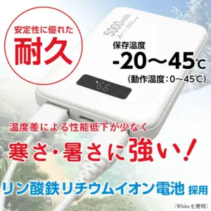 リン酸鉄リチウムイオン電池