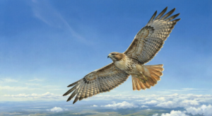 枕、睡眠、快眠、寝不足、合わない、熟睡、ストレートネック、スマホ首、肩こり、寝違え、初夢、縁起、一富士二鷹三茄子