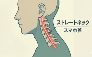 枕、睡眠、快眠、寝不足、合わない、熟睡、ストレートネック、スマホ首、肩こり、寝違え、初夢、縁起、一富士二鷹三茄子