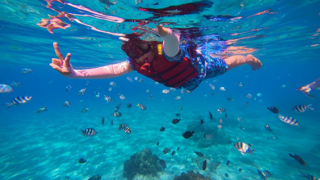 シュノーケリング、海水浴、スマホ、撮影、防水、海、写真、サンゴ礁、熱帯魚