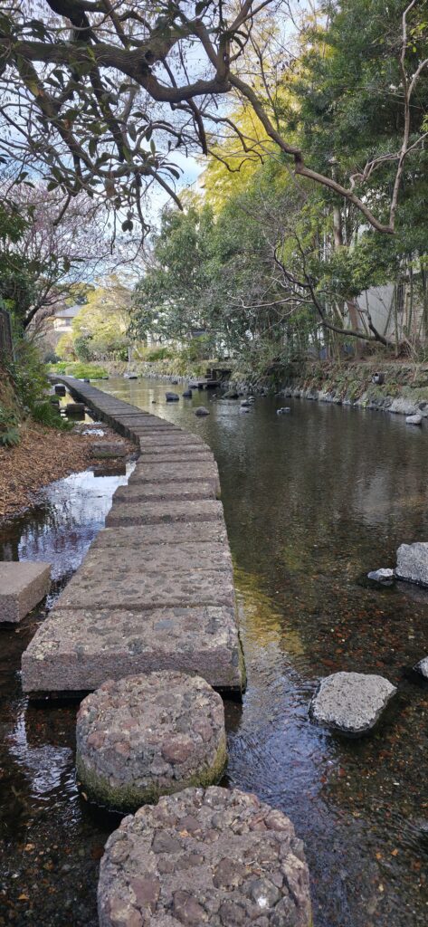 源兵衛川の飛び石